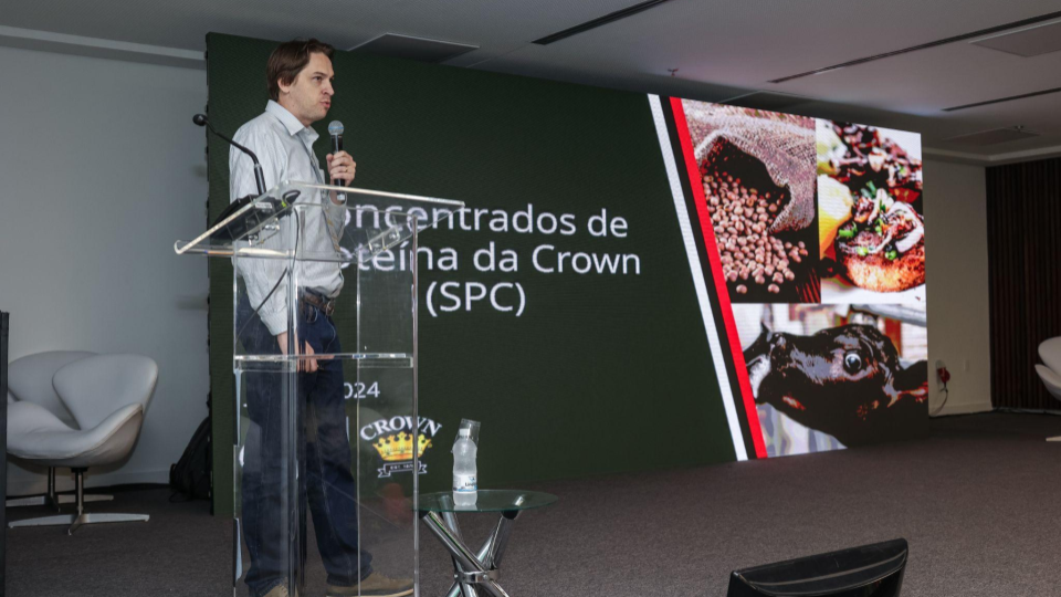 Apresentação sem título (3).png